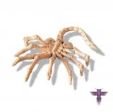 gad�et Alien: Facehugger Flex
